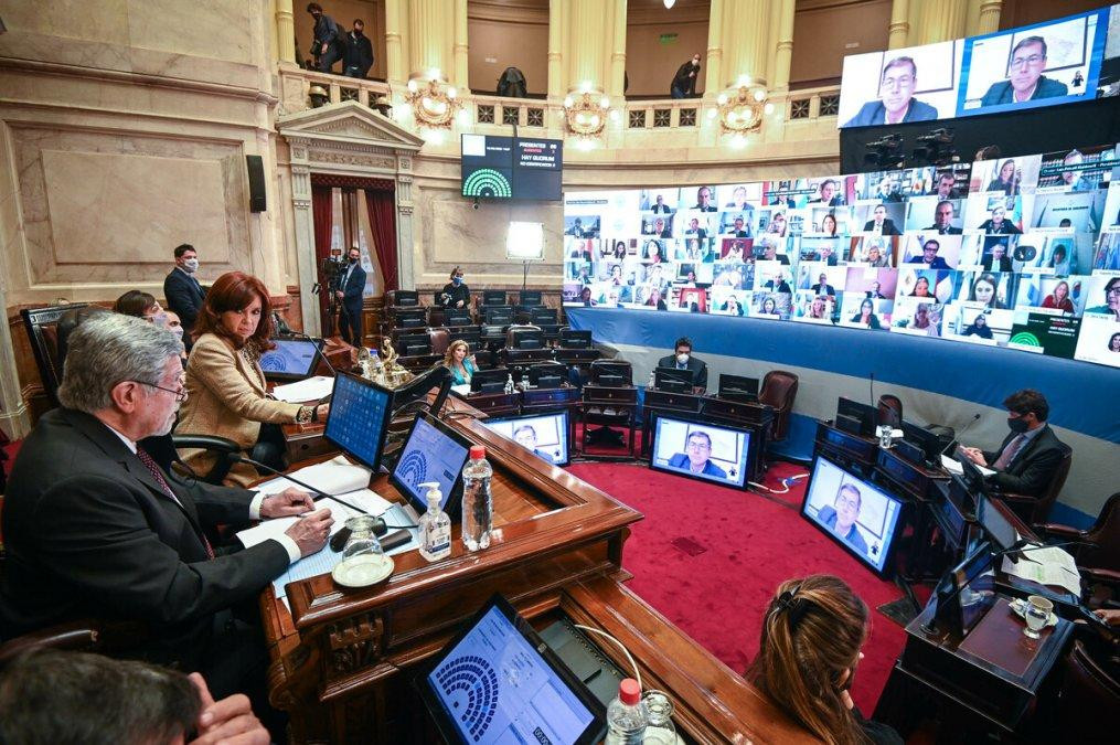 Senado, Cristina Fernández de Kirchner, sesión virtual, NA