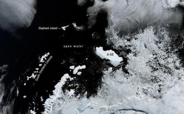 El Iceberg más grande del mundo alerta a los científicos por una posible colisión 