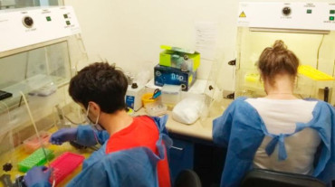 Coronavirus en Argentina: CONICET desarrolló un Kit para procesar más testeos PCR a menor costo