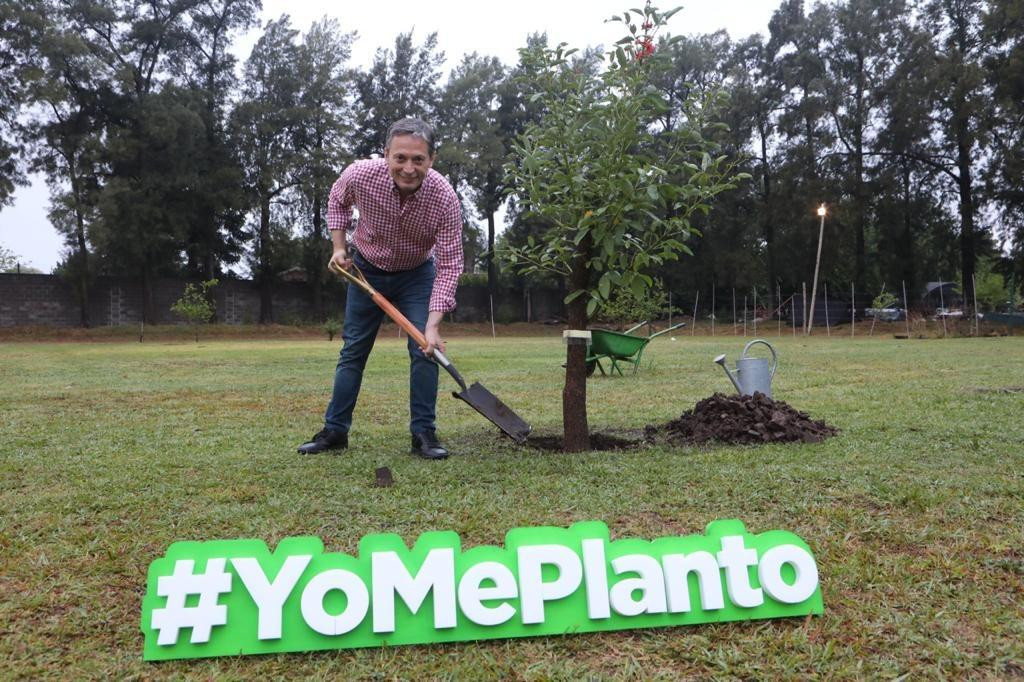 Fernando Gray lanzó un Programa de Forestación de Plantas Nativas, #YoMePlanto