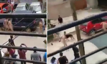 VIDEO: vecinos indignados atraparon a tres ladrones y los hicieron correr desnudos por Villa Celina