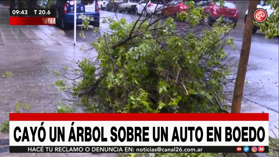Cayó árbol sobre un auto por el temporal