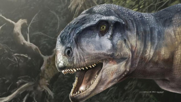 Científicos argentinos identificaron fósiles de nueva especie de dinosaurio en Neuquén