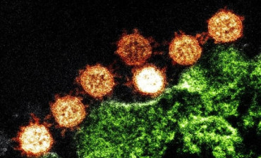 Coronavirus en el mundo: más de 133,7 millones de infectados y casi 2,9 millones de muertos