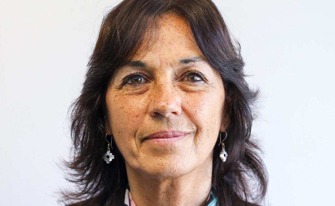 Vilma Ibarra, Gobierno, NA
