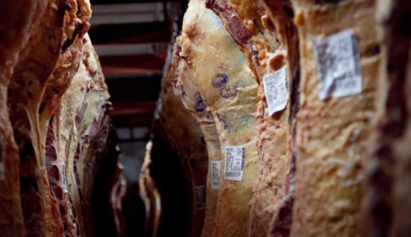 Carne, economía argentina, NA