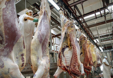 Advierten que tras la suspensión de exportaciones de carne se perderían 500 mil puestos de trabajo