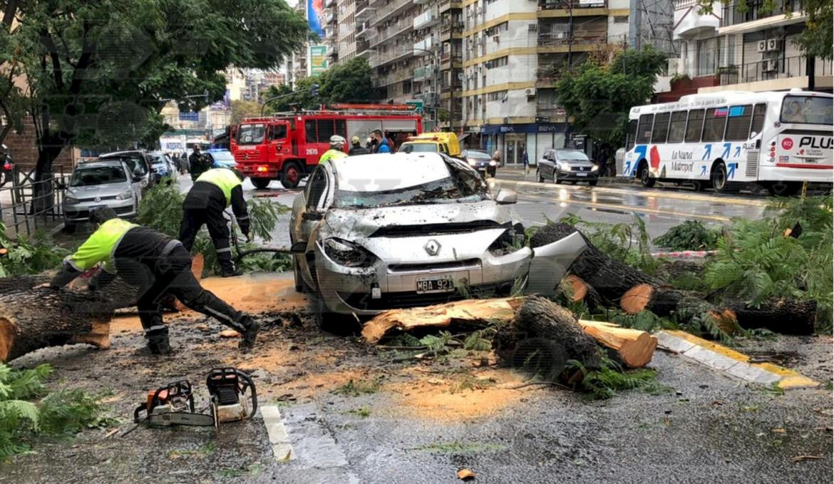 Árbol cayó sobre un auto en movimiento en Palermo