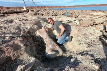 ¡Sorprendente!: en Neuquén bajó un lago y encontraron una dinosaurio gigante 