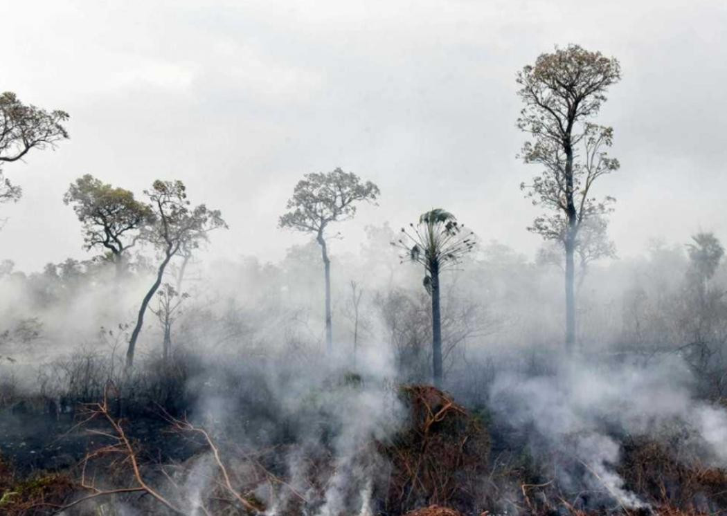 Incendios forestales en Bolivia, NA