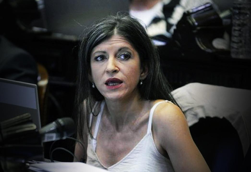 Fernanda Vallejos, Frente de Todos, Cámara de Diputados, NA