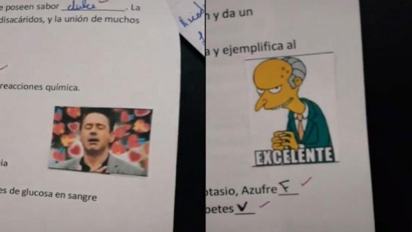 Corrección de exámenes con memes de una docente entrerriana