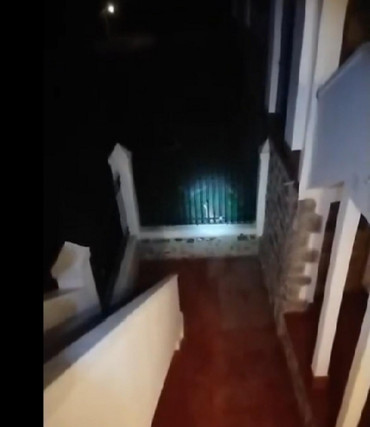Córdoba: un puma se comió a cuatro gatitos y generó pánico entre los vecinos