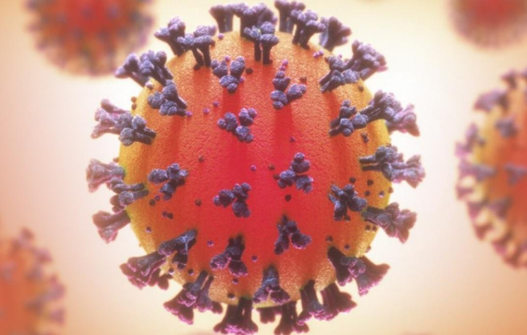 Coronavirus, pandemia