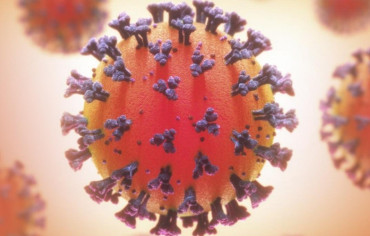 Ómicron: cuáles son los síntomas a tener en cuenta para la nueva variante del coronavirus que llegó a la Argentina