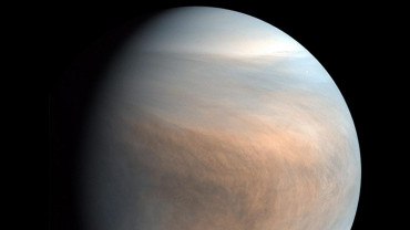 En Venus podría haber vida extraterrestre 