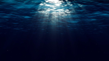 Científicos descubren un microbio marino que produce oxígeno en la oscuridad