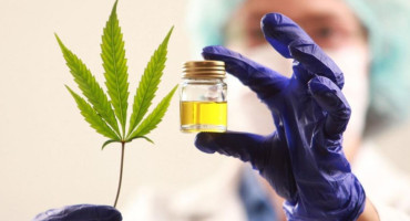 Ordenan importación de un aceite de cannabis específico para caso grave de parálisis cerebral