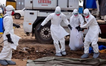 Alarma mundial por un brote de Fiebre Lassa: reportaron 59 muertes en Nigeria