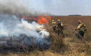 Corrientes en llamas: un primer relevamiento indica pérdidas por unos $67.300 millones