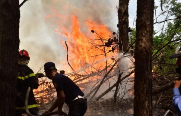 Incendios en Corrientes: se quemaron más de un millón de hectáreas