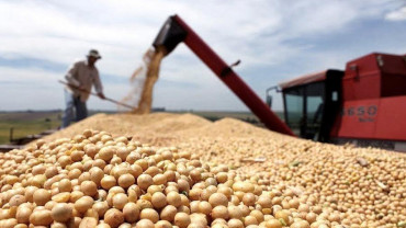 Cierre de exportaciones: la soja, el “efecto desacople” y qué pasará con el maíz y el trigo
