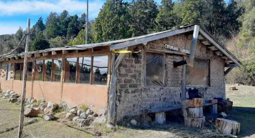 Duras críticas al fallo judicial que ordena la entrega de tierras del Estado a mapuches: “Legitiman a un grupo violento”