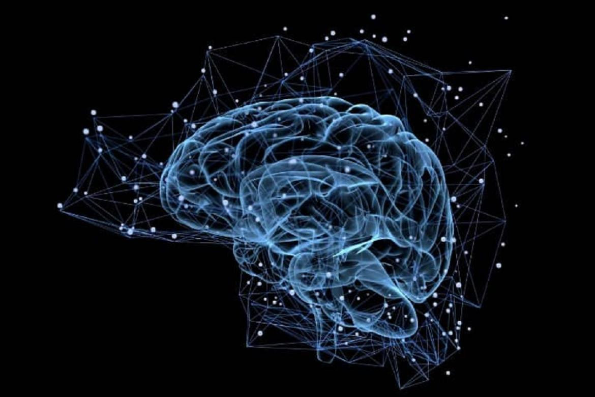 Líquido cerebral” que mejora la memoria