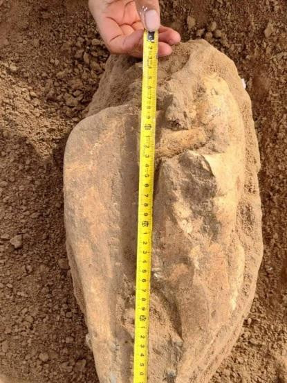 Nene encontró en la playa un cráneo de 700 mil años. NA