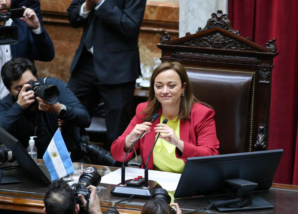 Cecilia Moreau, Diputados, Gobierno, NA