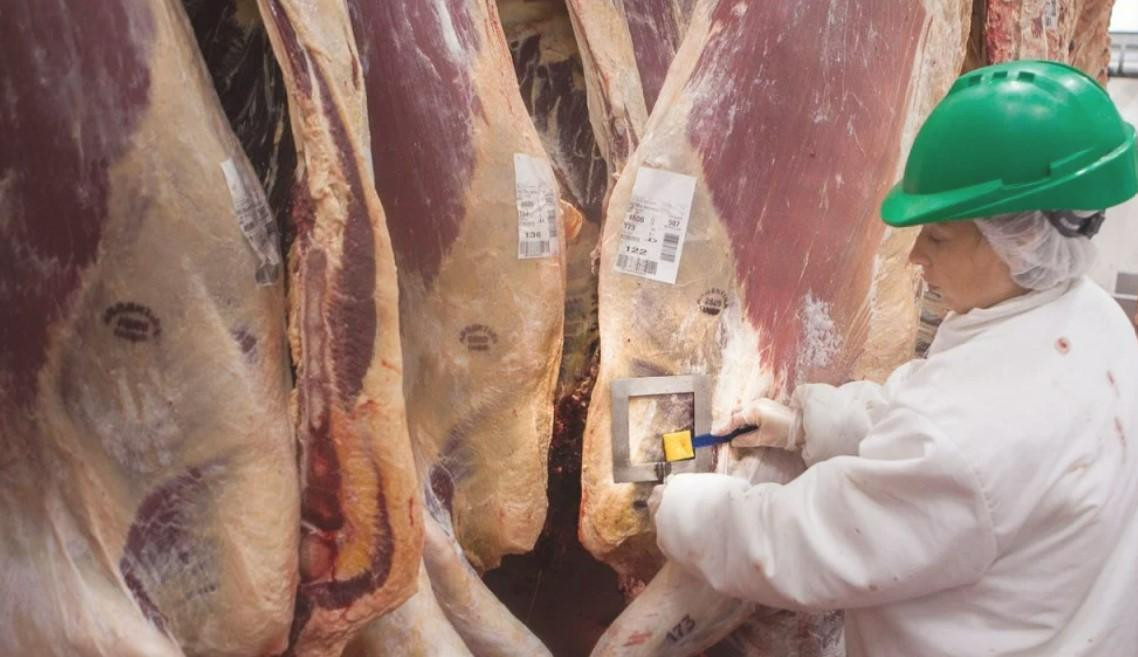exportacion carne a México foto Na