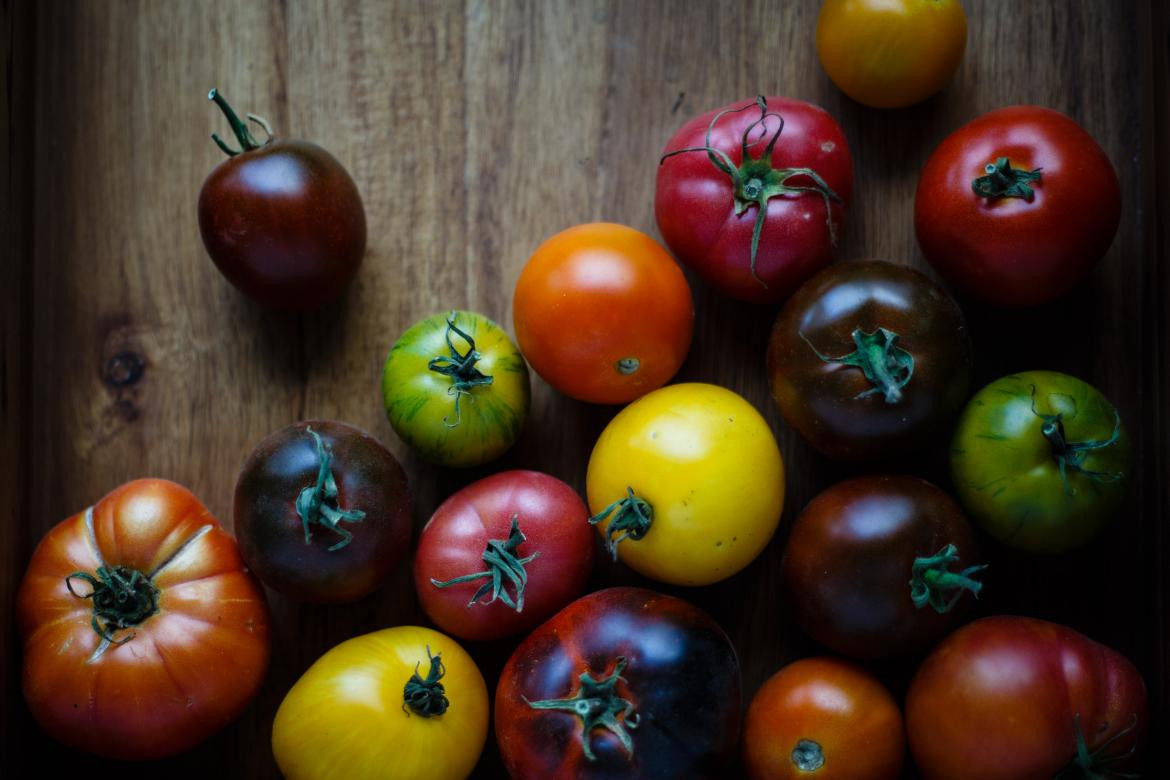 Hay más de 100 variedades de tomate en el mundo. Foto: Unsplash, Vince Lee.