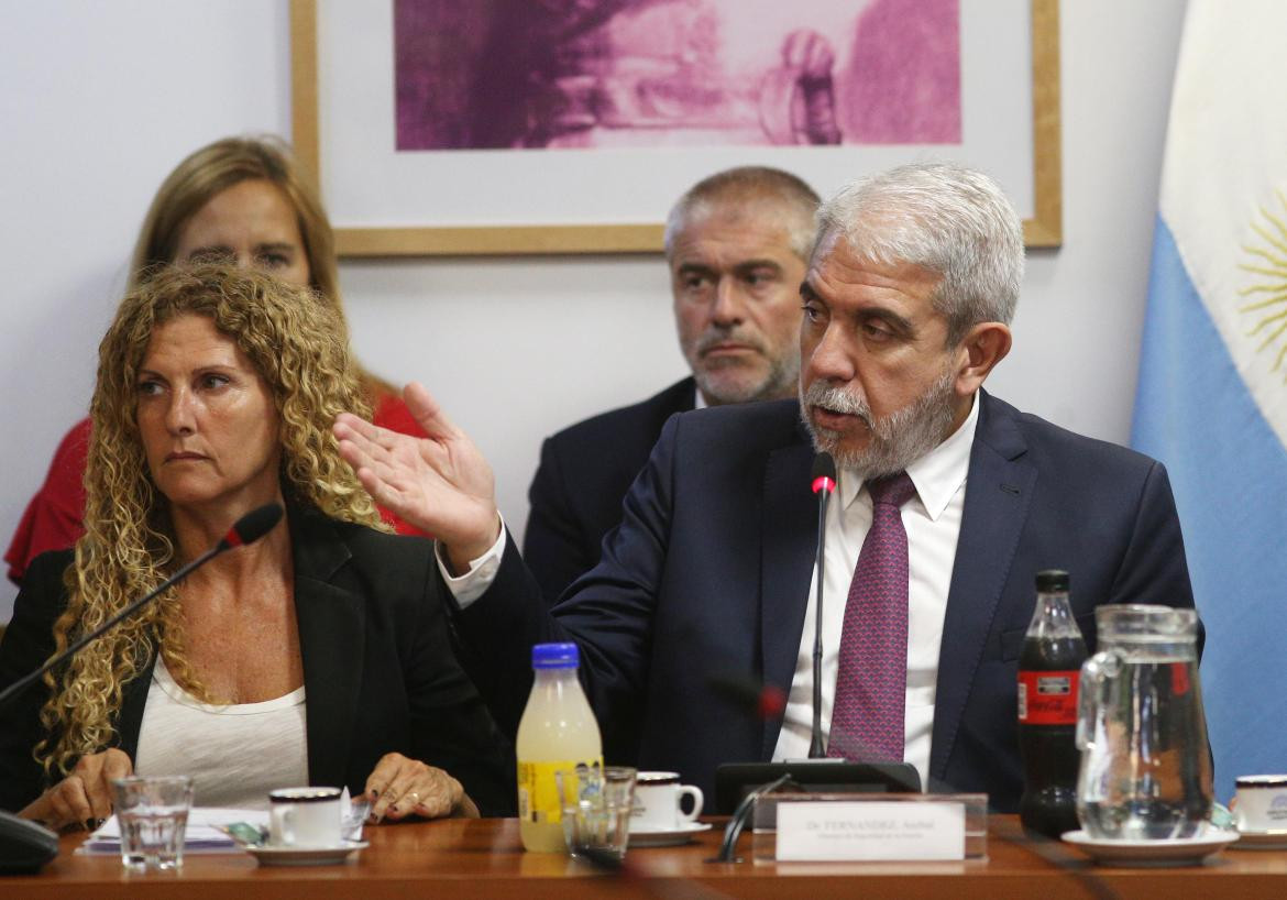 Aníbal Fernández expuso ante la Cámara de Diputados. Foto: NA.