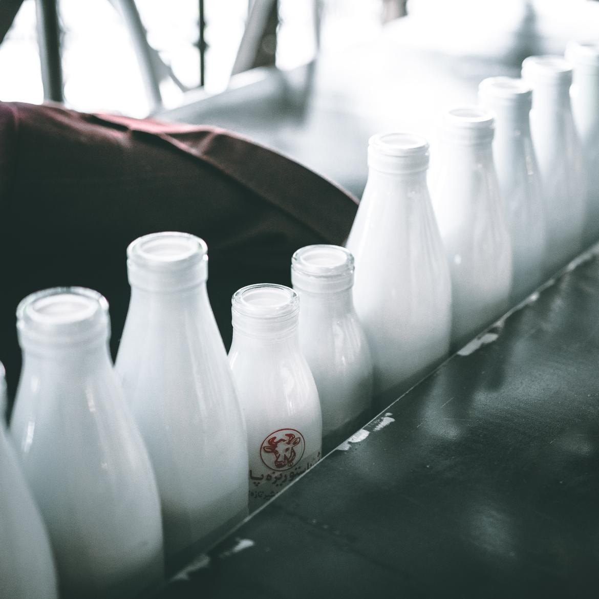 Consumo de lácteos - Foto: @unsplash