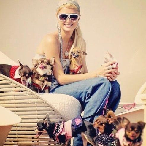 Paris Hilton con sus mascotas. Foto: Instagram/parishilton.