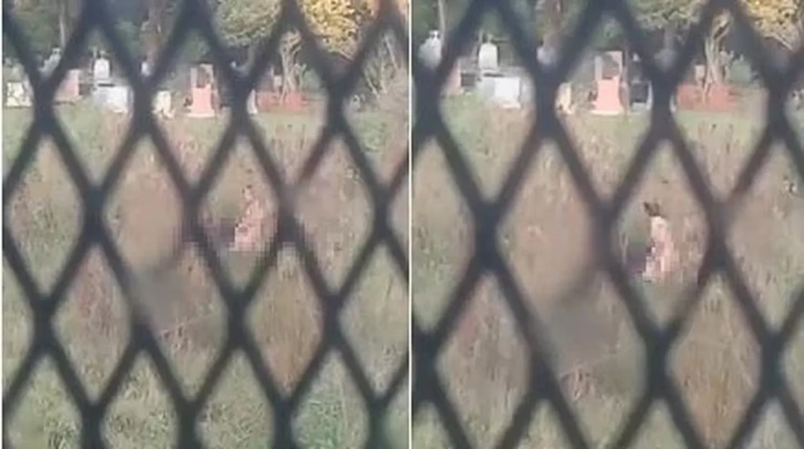 Una pareja fue grabada teniendo sexo en un cementerio. Foto: Gentileza Stop en Línea.