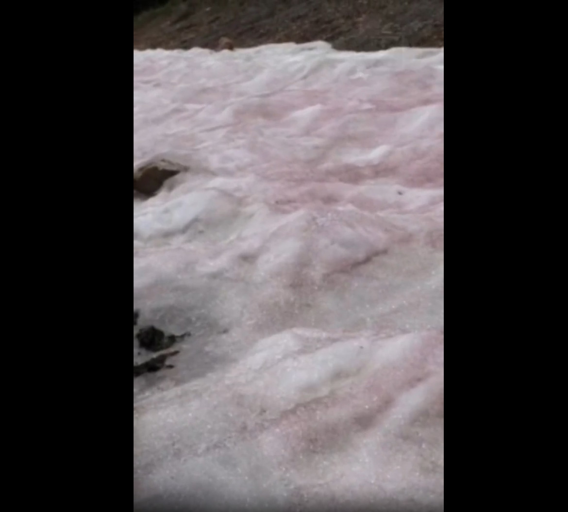 Nieve de Sandia. Foto: Captura de video.