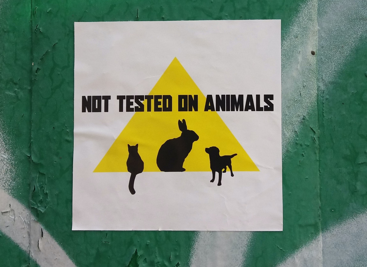 Canadá prohíbe el uso de animales para probar productos cosméticos. Foto: Unsplash.
