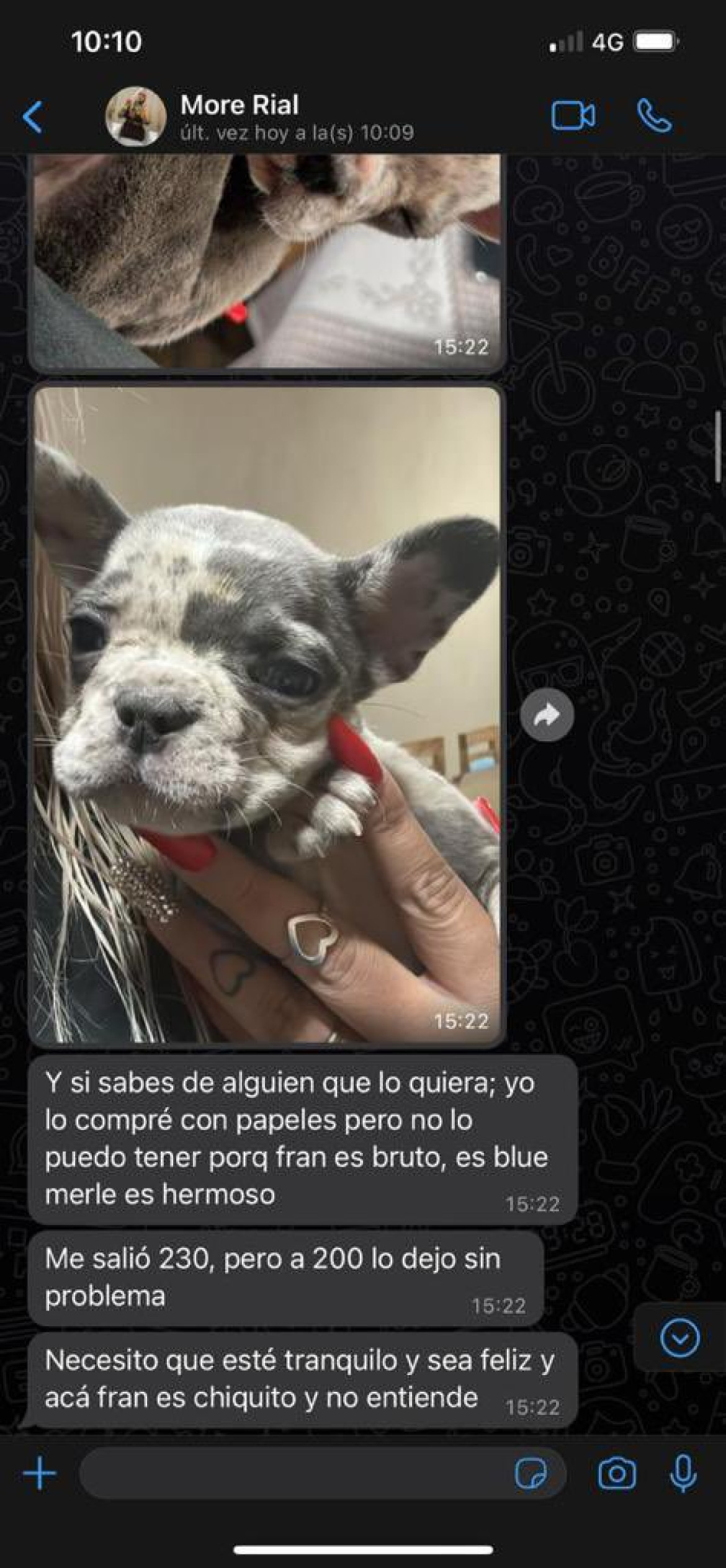 Morena Rial vende a su perro. Foto: Twitter.