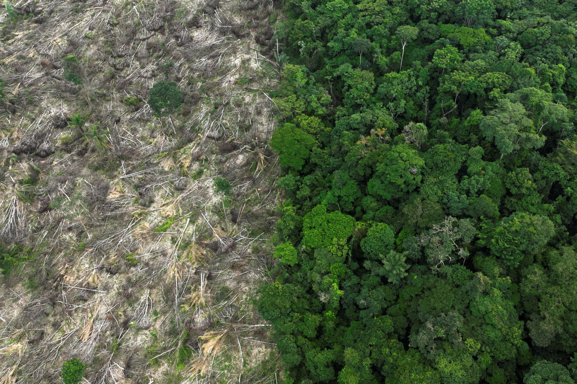 Deforestación cerca de Uruara, estado de Pará, en la Amazonía brasileña. Reuters