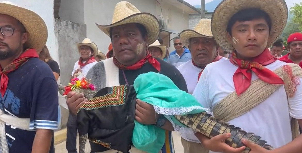 Casamiento de un alcalde mexicano y un cocodrilo. Video: Twitter.