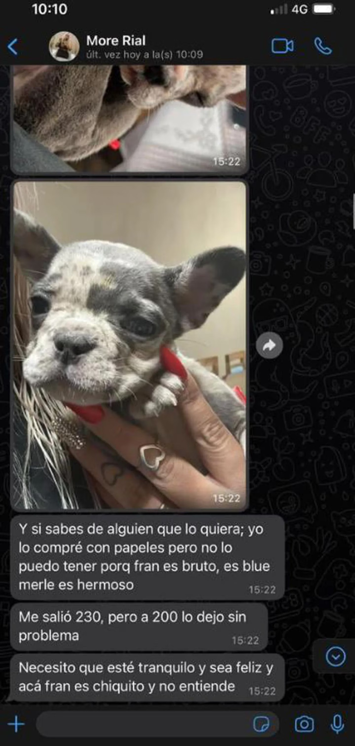 More Rial intentó vender a su perro. Foto: redes sociales.