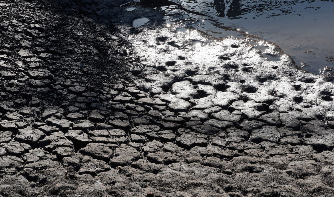 Sequía en Uruguay. Foto: REUTERS.