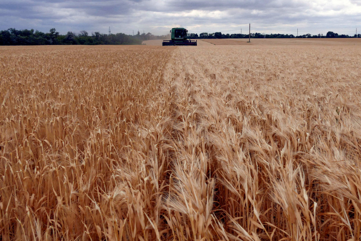 Cereales. Foto: Reuters.
