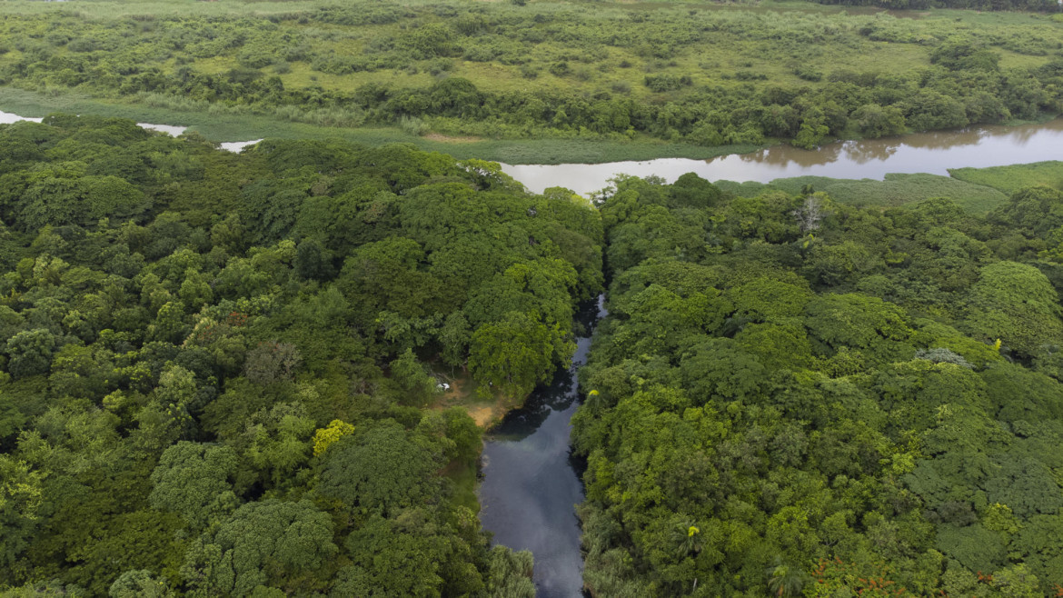 Parque de humedales de Ozama, República Dominicana. Foto: EFE