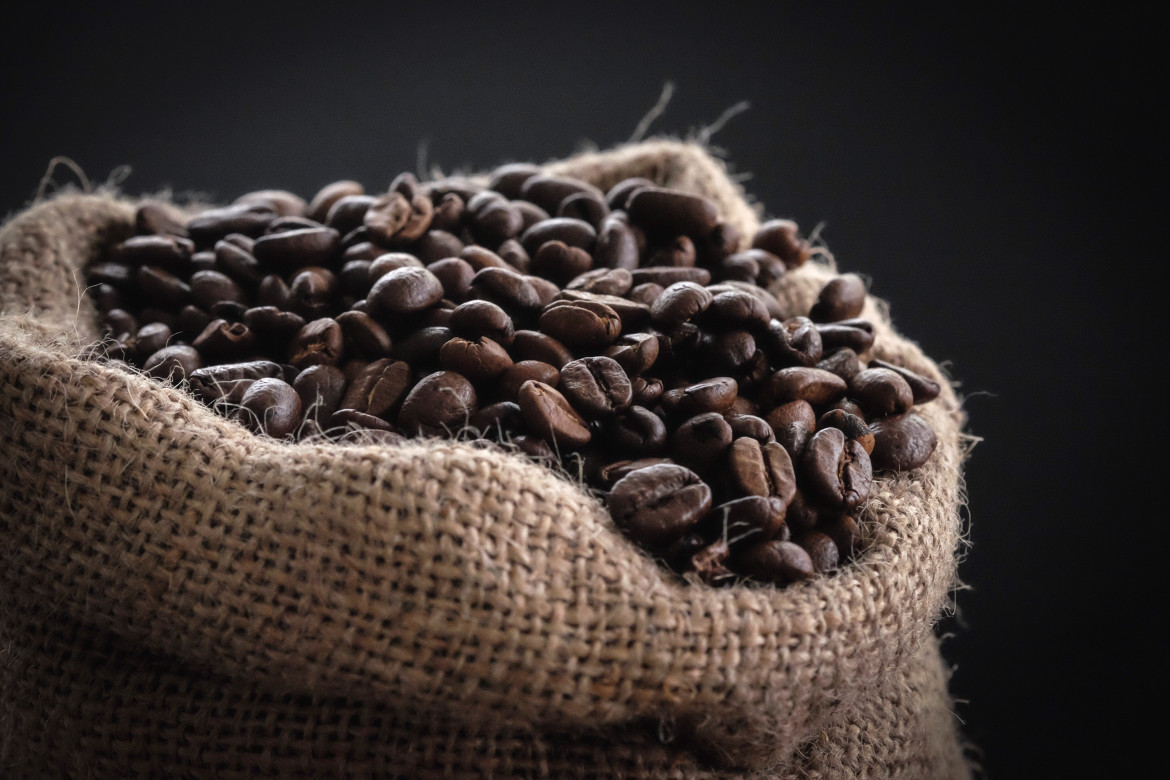 El compuesto del café que combate el envejecimiento. Foto: Unsplash