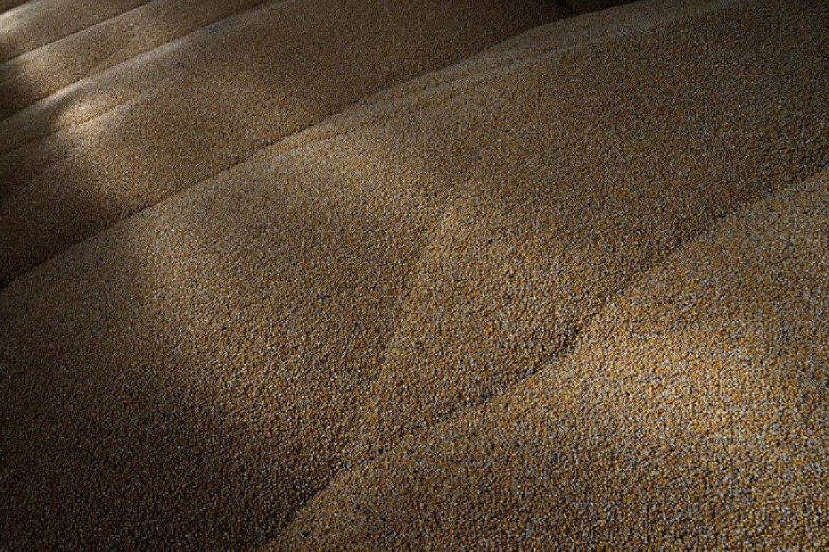 Cereales. Foto: Reuters.