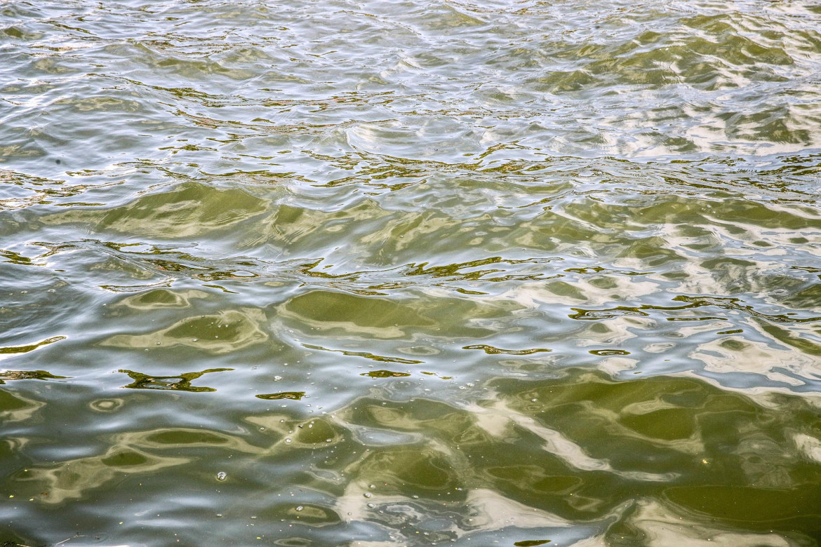 Aplazaron una prueba de natación en el río Sena por contaminación en el agua. Foto: EFE