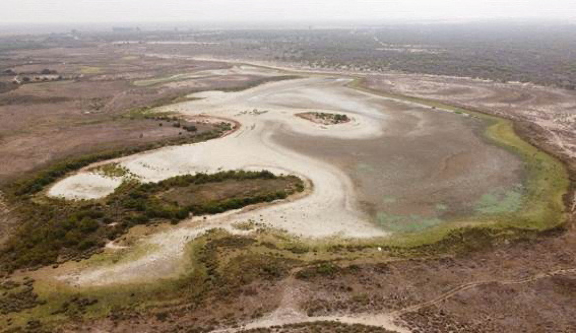 Laguna del parque español de Doñana se seca por la grave sequía. Foto Reuters.