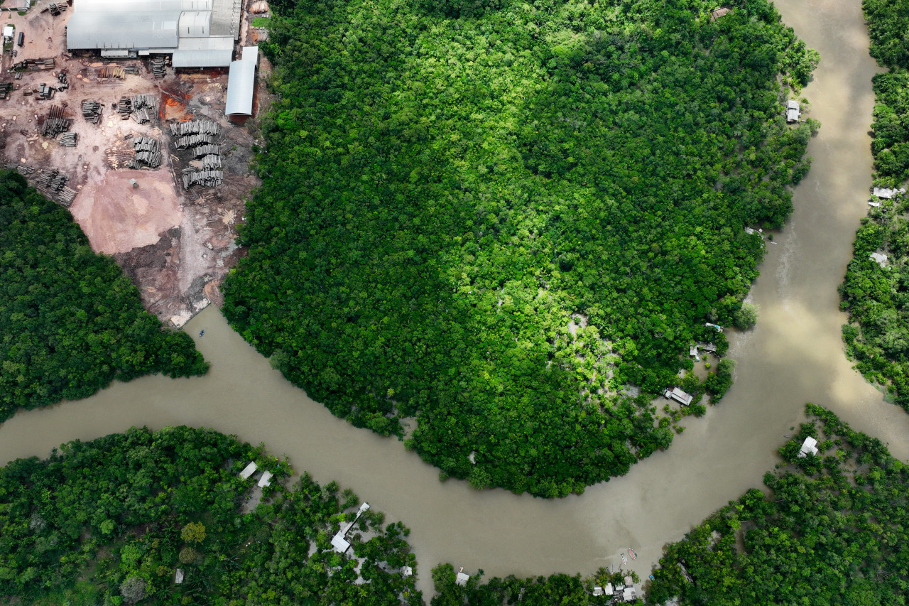 Amazonas. Foto: Reuters.